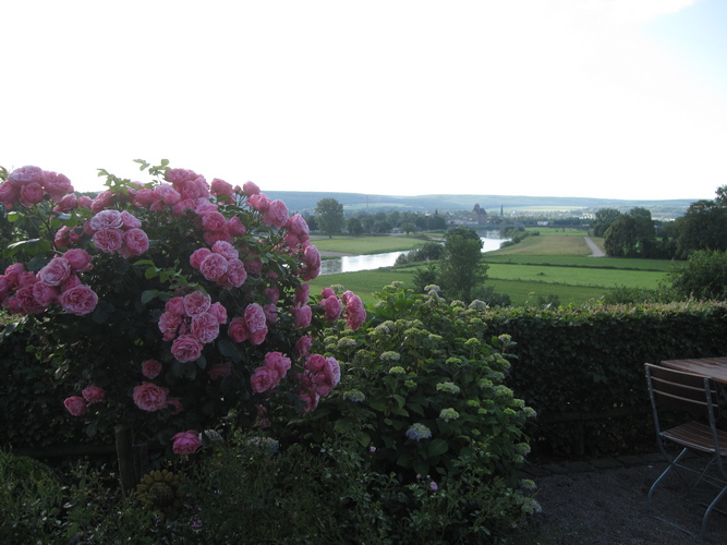 Weser