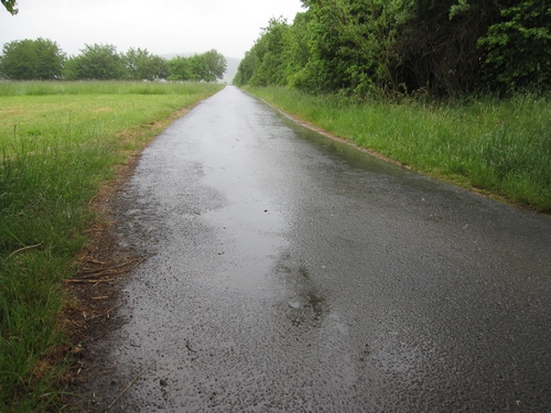 Regn