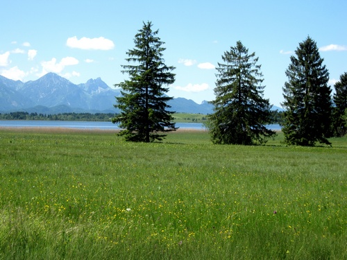 Nær Füssen